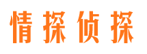 亭湖侦探